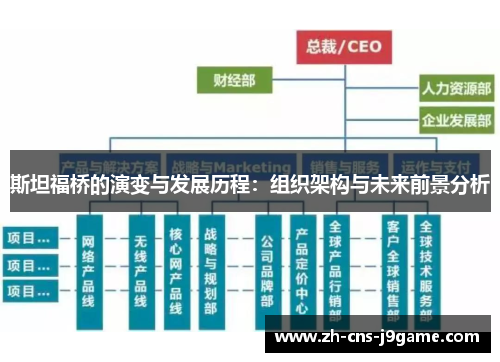 斯坦福桥的演变与发展历程:组织架构与未来前景分析 斯坦福桥的演变与发展历程:组织架构与未来前景分析