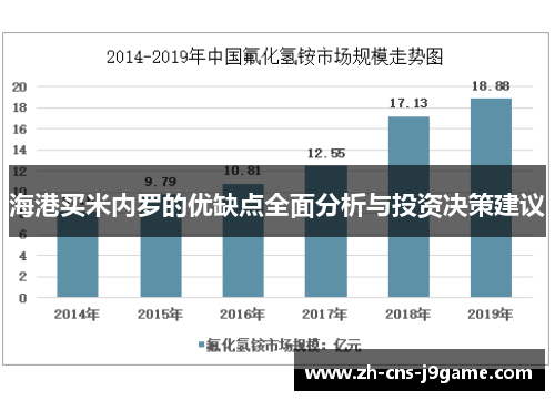 海港买米内罗的优缺点全面分析与投资决策建议